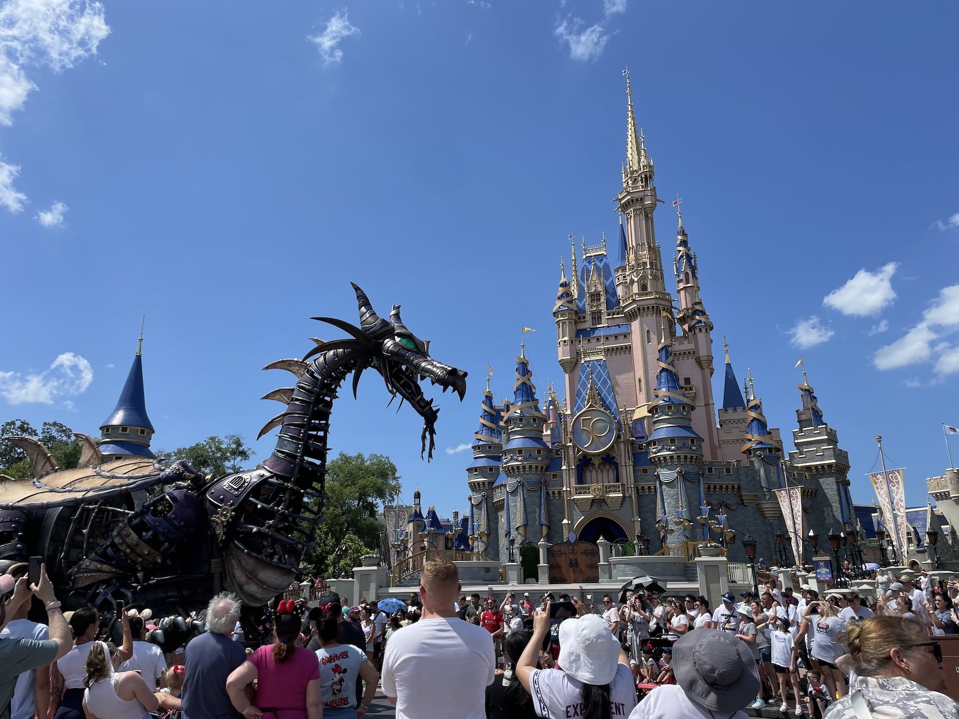 Magic kingdom